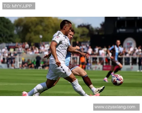 小鹰足球明星背后的故事与成就揭秘，谁是最闪耀的球场之星