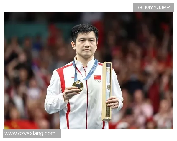 成都乒乓球队状态分析与未来展望聚焦乒乓球发展新机遇